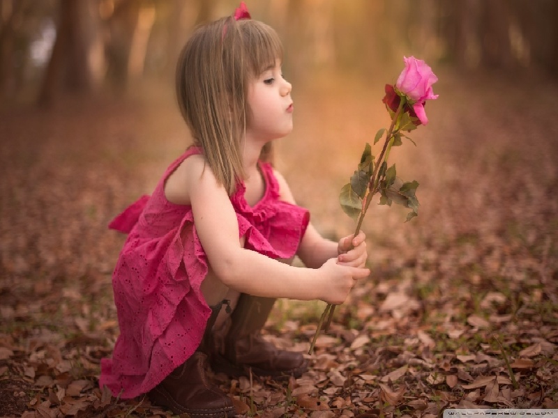 试管胚胎8代试管怀孕几天孕吐试管移植成功扎堆